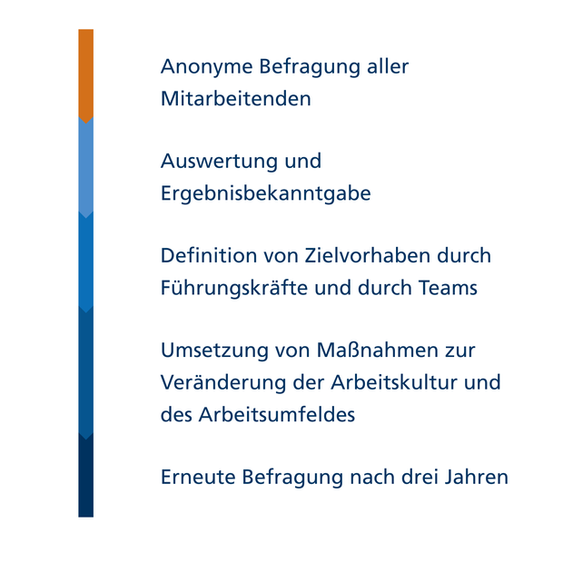 Schaubild der 5 Phasen